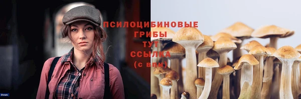ешки Баксан