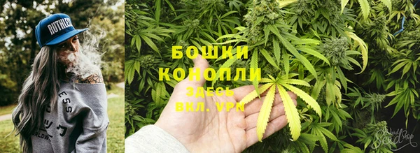 соль ск Новозыбков