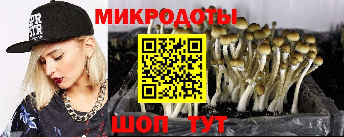 Галлюциногенные грибы Psilocybe  Вход с VPN  цена   Верхняя Пышма 
