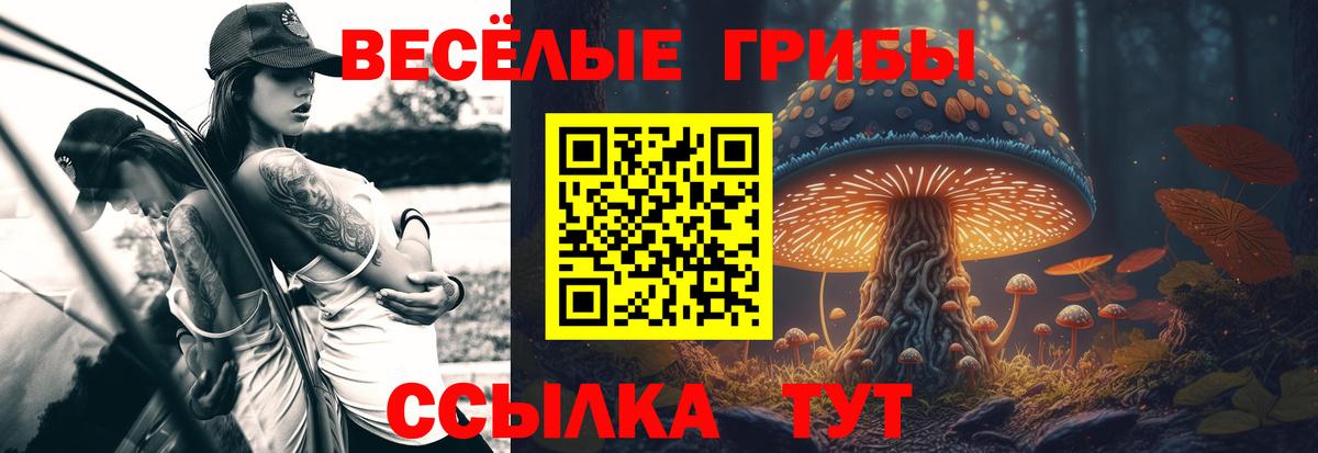 Псилоцибиновые грибы Magic Shrooms Верхняя Пышма