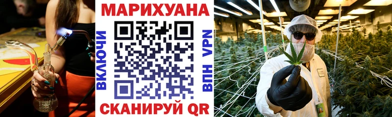 Шишки марихуана конопля  Верхняя Пышма 